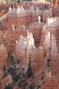 Views of Hoodoos at Bryce Canyon