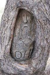 Carving of ROH Bourke at the Dig Tree