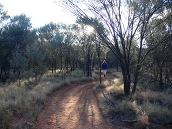 Walking out from the Dry Tank campground