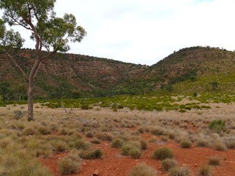 Gundabooka Range