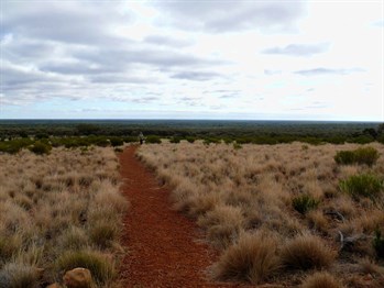 Looking west from the walking track.