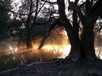 Morning light on the billabong.