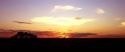 Mungo sunset