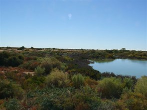Wetland at Montecollina Bore