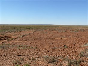 A wide brown land - track follows vermin fence