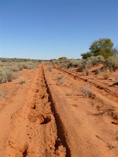 Hoofprints made the track very rough