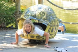 Child-turtle?