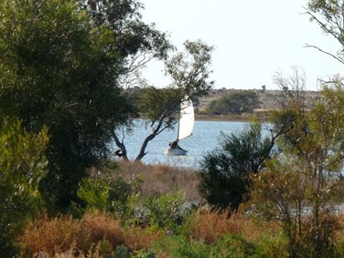 Sailing