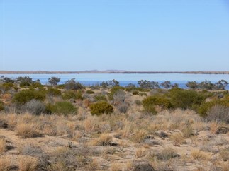 NW corner of Lake Killamperpunna