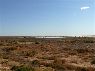 Sheets of water among the gibbers