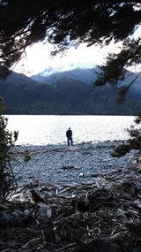 A magic shot of the big fella taken by Vik