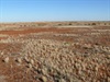 Diamantina NP landscape