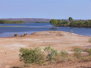 Lake Moondarrah