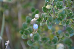 Unable to Identify 