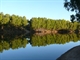 Flinders River lined with paperbarks - Taken: 13/08/2011 5:47:07 PM Camera: Panasonic DMC-FZ50