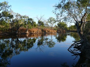 Following the Big Wet - 2011 Trip Part 18: Flinders