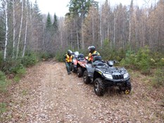 In the woods