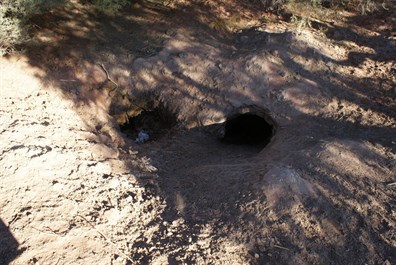 Midway Well - Talawana Track