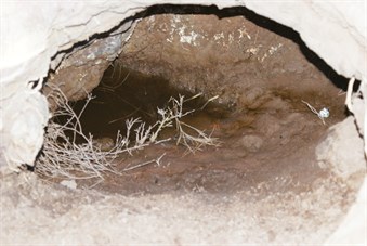 Water in Midaway Well - 2009