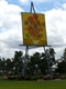 Sunflowers at Emerald