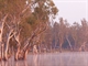 Morning light on the Broadwater Lagoon