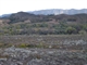 Approaching the Flinders Ranges - You can't help but be taken with the colours
Taken: 10/08/2011 12:20:06 PM Camera: Panasonic DMC-TZ20