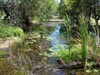 Water Garden at Pine Creek