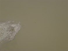 Lake Eyre