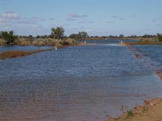 The Birdsville Track