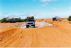 Wet Birdsville Track 1986