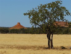 Flat top messas along the Diamantina River Road