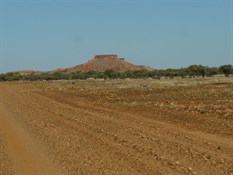 Brighton Downs