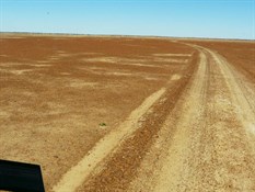 Gibber plains along Warracoota Circuit Drive