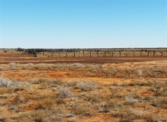 Gum Hole Yards - Warracoota Circuit Drive
