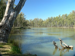 The river here was just below the top of the banks