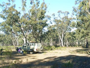 A camp in some dry woodland