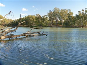 Murray River near Tocumwal