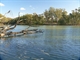 Murray River near Tocumwal