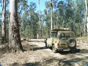 All in a day's exploring