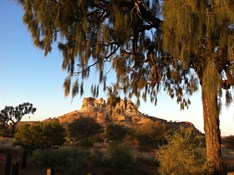 Desert Oak and Castle Rock