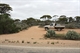 Turn Off from Eyre Highway