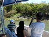 Large bull Crocodile at Yellow Waters Kakadu National Park