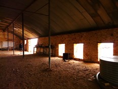 Just imagine 120 shearers hard at work in this shed