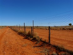 The Dog Fence @ S28.99889 E141.81710
