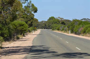 Looking west along the Lochiel Road from the Quandong site - Camera: NIKON CORPORATION NIKON D7000 Taken: 26 Jan 2012