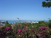 Stokes Hill Harbour from Survivors Lookout