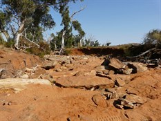 Road damage
