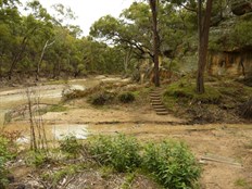 Walking track to The Drip