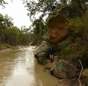 Walking track to The Drip