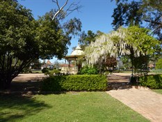 Our park in Mudgee